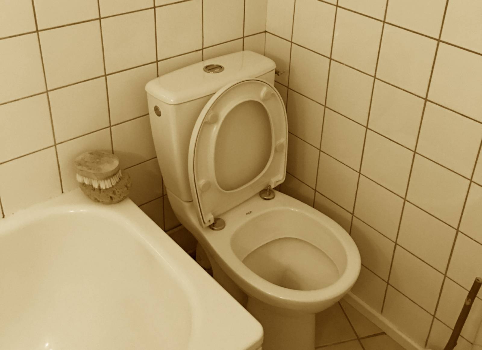 Ancienne salle de bains avec WC (75015)