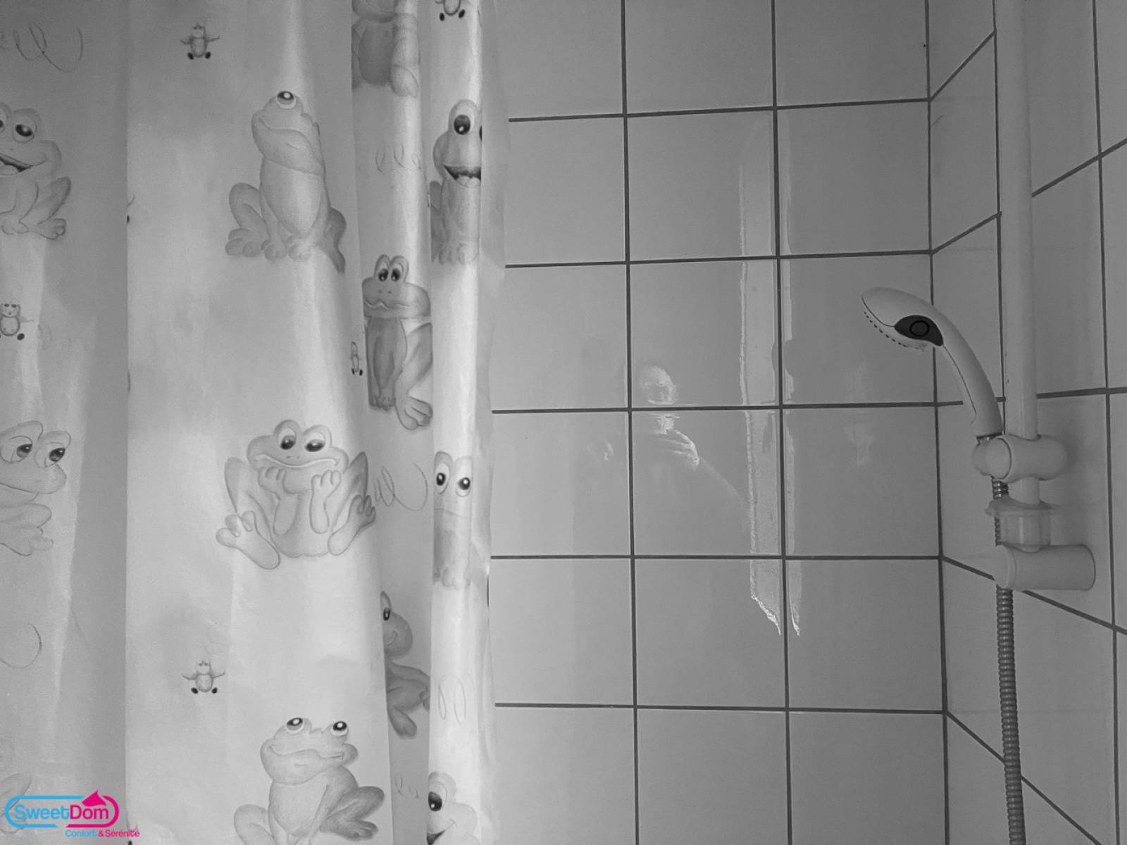 Faire un devis pour remplacer une baignoire par une douche au Plessis-Robinson (92350)