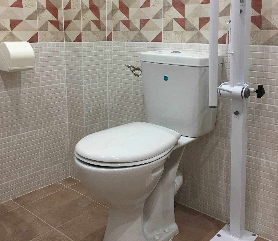 WC rehaussé et adapté et barre d'appui rabattable sur pied à Argenteuil (95)