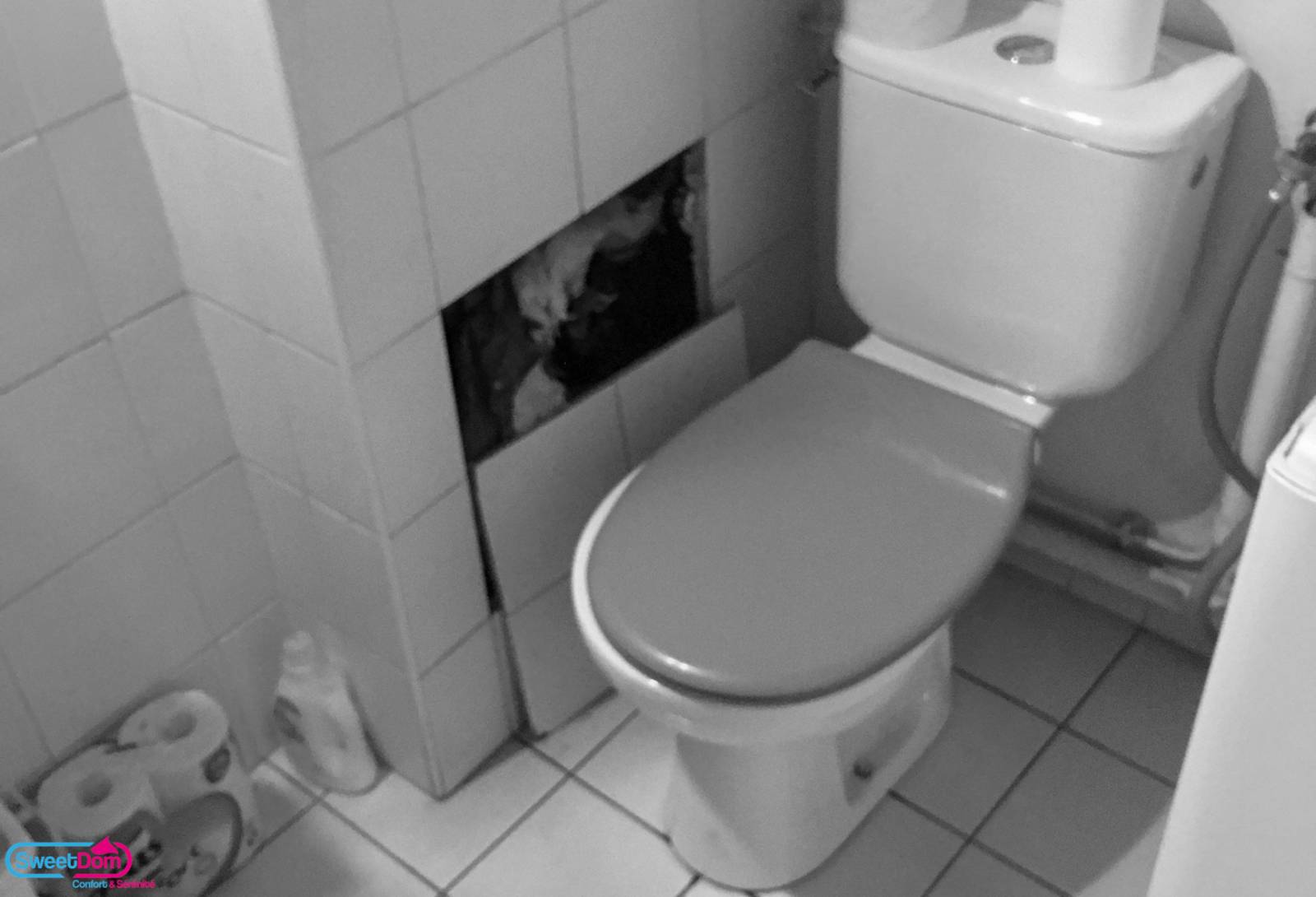 Remplacer son ancien WC pour plus de modernité et de confort à Boulogne-Billancourt (92)