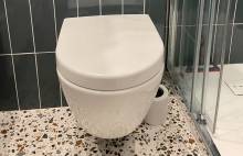 WC suspendu design dans une salle d'eau (75015)