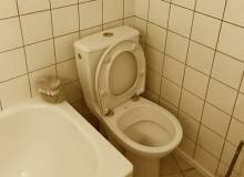 Ancienne salle de bains avec WC (75015)