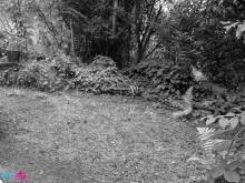 Accéder à son jardin avec difficultés à Montrouge (92120)