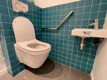 WC suspendu avec barre d'appui et lave-mains (75015)