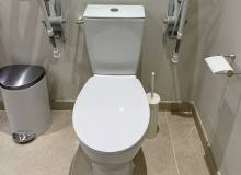 WC rehaussé avec barres d'appui rabattables (75015) 